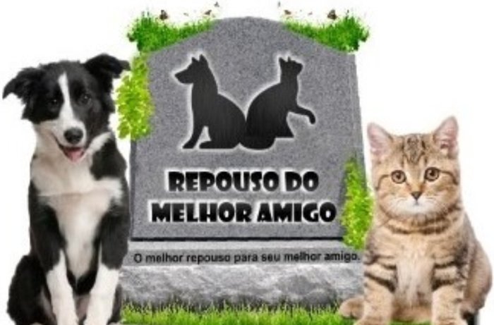 Repouso do Melhor Amigo – o melhor repouso para seu melhor amigo